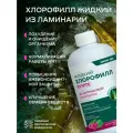БАД Хлорофилл жидкий для ЖКТ, детокса и похудения АВ1918, 450 мл
