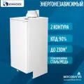 Котел газовый Боринское АКГВ-23 ,2-1