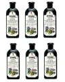 Рецепты бабушки Агафьи Шампунь, Черный для всех типов волос, 350 мл (тёмная), 6 шт