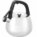 Чайник со свистком Polaris Mela-2,5L объем 2,5 литра для газовой и индукционной плиты, из нержавеющей стали