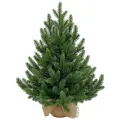 Елка настольная в мешочке Баварская 90 см, литая 100%, Triumph Tree, 72209