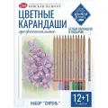 Мастер-Класс Профессиональные цветные карандаши для рисования набор Сирень 13 цветов
