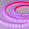 Светодиодная Лента герметичная RTW-PS-B60-12mm 24V RGB (14.4 W/m, IP67, 5060, 50m) (Arlight, 14.4 Вт/м, IP67) 024587(2)