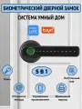 Электронный биометрический дверной замок, умная дверная ручка с отпечатком пальца