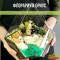 Флорариум с суккулентами Ориус