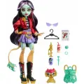 Кукла Монстр Хай Дженифер Лонг - Monster High Jinafire Long Dragon Girl HYV58