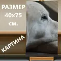 Картина на холсте Собака, золотистый ретривер, ретривер на подрамнике 40х75 см. для интерьера