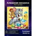 Алмазная мозаика Том и Джерри