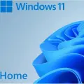 Программное обеспечение Microsoft Windows Home 11 64-bit English USB (HAJ-00089)