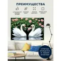 Алмазная мозаика 60x80 Лебединая пара на подрамнике