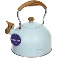 Чайник из нержавеющей стали 2,5л «Vicalina» мятный, удобный и стильный