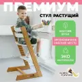 Растущий стул для детей и школьников из бука Конек Горбунек Премиум, для кормления детей, Лофт 2