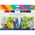 Карандаши цветные 36 цветов Гамма Классические (L=174мм, D=7мм, d=2.9мм, 6гр) картонная упаковка (050918_05), 6 уп.