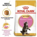 Корм для котят Royal Canin Maine Coon Kitten для котят породы Мэйн Кун от 4 до 15 месяцев 14000 г