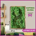 Настенный декор Bloom Showroom Живая картина из стабилизированного мха, 38х58