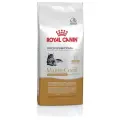 Royal Canin Maine Coon Adult PRO, 13 кг