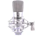 ISK BM-800 Professional Large Diaphragm 48V Condenser Microphone for Mobile Phone Computer Sound Card Speaker Live Singing Shouting Recording Live Broadcasting Equipment Optional with Sound Card Headp