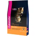 Корм для кошек Eukanuba Top Condition, для здоровья кожи и блеска шерсти, с домашней птицей 10000 г
