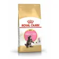 Корм сухой ROYAL CANIN MAINE COON KITTEN корм для котят породы мейн-кун в возрасте от 3 до 15 месяцев 2 кг х 2 шт