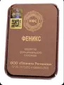 КФС (Корректор Функционального Состояния) ФЕНИКС Планета регионов , 5 элементов, золотистый, Россия