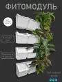 Фитомодуль BOXSAND-3 (50х18 см) Комплект 4 штуки. Вместимость 12 растений
