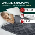 Детское утяжеленное одеяло 4 кг 110x140 см WELLINAGRAVITY сенсорное графит