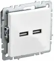 Розетка c USB двойная РЮ10-1-БрБ A+A 5В 3,1А IEK серия BRITE