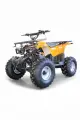 Электроквадроцикл GreenCamel Атакама T240 (48V20Ah 1000W R8) среднеразмерный, пониженная передача Золотая осень