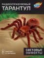 Паук радиоуправляемый Тарантул на пульте