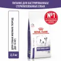 Сухой корм для собак мелких пород Royal Canin Neutered Adult Small Dog для стерилизованных и кастрированных, 3,5 кг