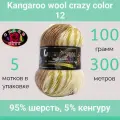 Пряжа Color City Kangaroo wool crazy color 12 (100г/300м, упаковка 5 мотков)