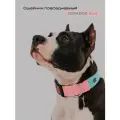 Ошейник широкий повседневный, CORADOG Basic, для средних и крупных собак, мятный розовый, размер L-4 48-70 см
