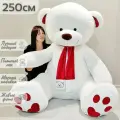 Большой плюшевый мишка, плюшевый медведь, мягкая игрушка Кельвин 250 см, белоснежный