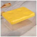 Контейнер для сыра, 16×11×7 см, цвет жёлтый