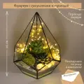Флорариум Succulenteria Золотой сувенир, с суккулентами, с гирляндой, в стеклянной форме в виде капли