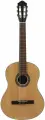 FLIGHT C-100 NA 4/4 - Гитара классическая 4/4