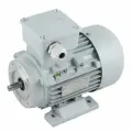 INNORED Электродвигатель трёхфазный асинхронный (0.37 кВт 2800об/мин) 10514мм, на лапах, схема включения звезда/треугольник (380В/220В)