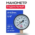 Манометр 63х1/4 16 бар ТМ-310Р (нижнее радиальное подкл, корпус сталь, минстекло) росма