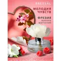 Breesal диффузор Arome Fleur Мелодия чувств, 60 мл 1 шт. 1 шт. 60 мл 0.3 кг малина