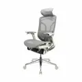 Премиум эргономичное кресло GT Chair Dvary Pro X, серый