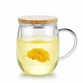 Кружка заварочная Samadoyo S-025A, стеклянная, с фильтром, 500 мл