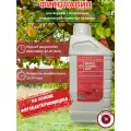 Фитолавин, ВРК - бактерицид, фунгицид, Фармбиомед (Россия) 1л
