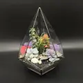 Флорариум с суккулентами Кристальная симфония, высота 25см