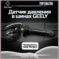 Датчик давления в шинах Geely Monjaro , Atlas ; 7091004700