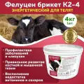 Кормовая добавка Фелуцен энергетический К2-4 для молодняка КРС, 4кг