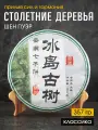 Китайский чай Шен Пуэр Столетние деревья 2019 год блин 357 грамм