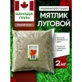 Мятлик луговой семена 100% Canada Green, 2 кг