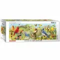 Пазл Eurographics Садовые птицы, 1000 элементов, картон, 33x99 см