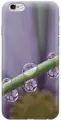 Силиконовый чехол на Apple iPhone 6s / 6 / Эпл Айфон 6 / 6с с рисунком Сиреневые цветы в каплях