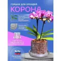 Цветочный горшок для орхидеи, прозрачный